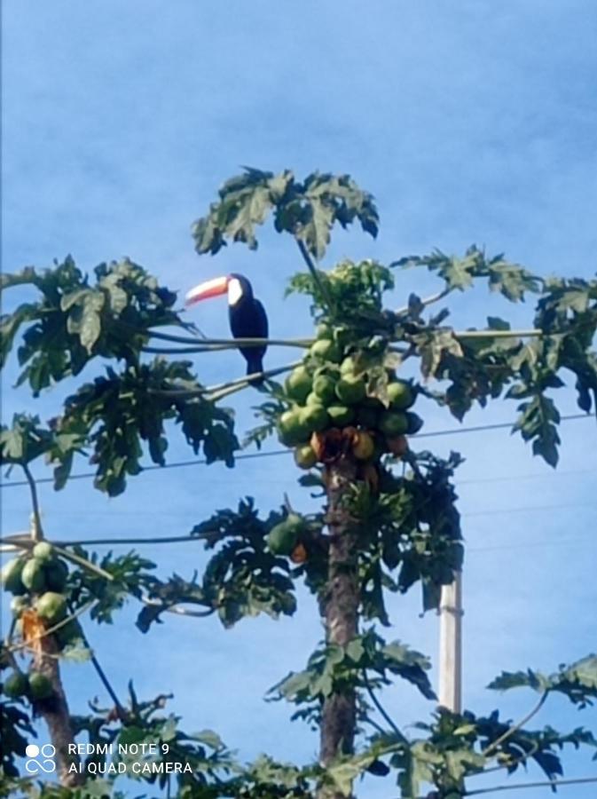 Chacara Recanto Das Pedras Para 8 Pessoas Serra Negra  Dış mekan fotoğraf
